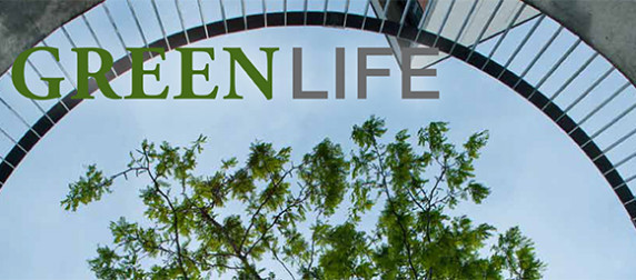 Green Life. Ökologisch bauen und effizient nutzen